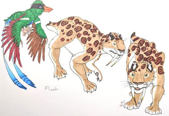 Flash, a green Confuciusornis type bird, transforms at will into a spotted sabertoothed cat